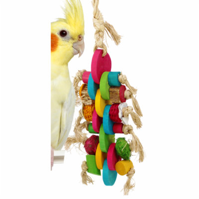 41357 Medium Linx Bird Toy