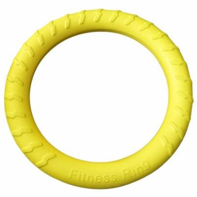 12.2'' Pet Toy Creative Bite Resistant EVA Pet Bite Toy Pet Ring Toy for Pet Training