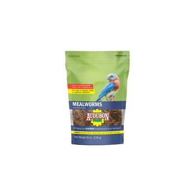 FOOD BIRD MEALWORM 8OZ