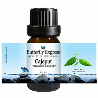 Cajeput Essential Oil 10ml - 100% Pure by Butterfly Express