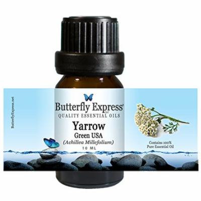 Yarrow Green USA Essential Oil 10ml - 100% Pure by Butterfly Express