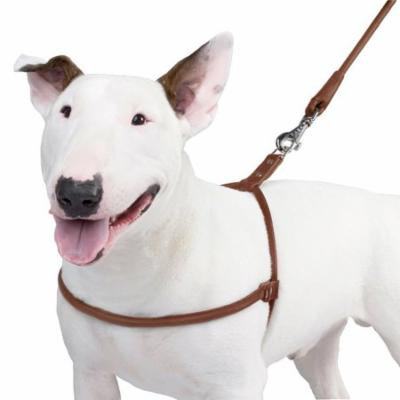 Rolled Leather Dog Harness for Small Dogs Handmade, Black