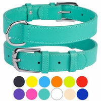 Leather Dog Collar Puppy Collars for Small Dogs Soft Padded, Mint Green