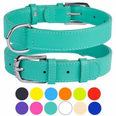 Leather Dog Collar Puppy Collars for Small Dogs Soft Padded, Mint Green