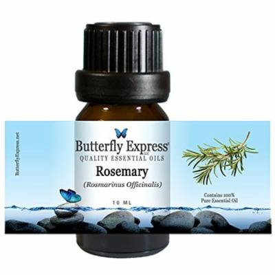 Rosemary Essential Oil 10ml - 100% Pure - by Butterfly Express