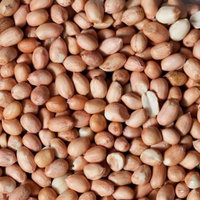 AIVA - Raw Spanish Peanuts # 1 Quality 5 LB