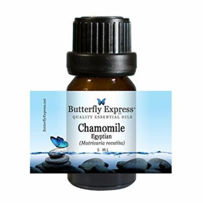 Chamomile Egyptian Essential Oil 5ml - 100% Pure by Butterfly Express