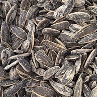 Roasted Salted Sunflower Seeds In Shell by Its Delish, 5 lbs