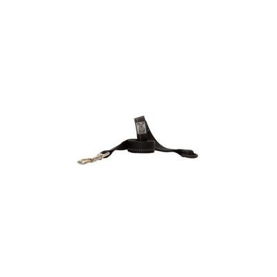 Primary Dog Leash - Black 1