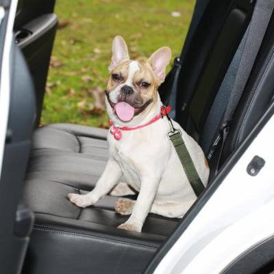 Dog Seat Belt, Harness Car Safety Seatbelt 2 Packs, Adjustable Nylon Strap and Universal Clip For Buckle up Dogs Puppy Cats Pets,Shock Absorbing for Safe Travel - Green