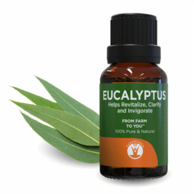 GuruNanda Aromatherapy 100% Pure & Natural Essential Oil, Pure Eucalyptus, .5 fl oz