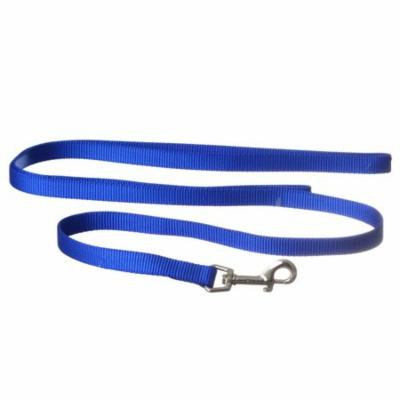 Coastal Pet Nylon Lead - Blue 6' Long x 5/8