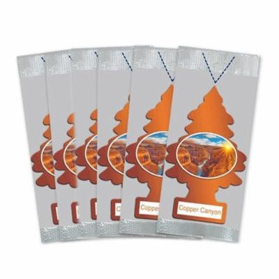 Little Trees Car Air Freshener 6-Pack (Copper Canyon)