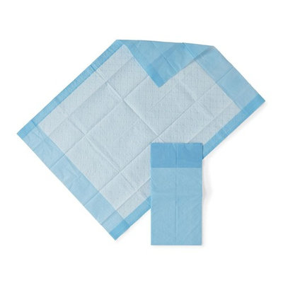 HEALTH 1st Disposable Underpad, 17 inches X 24 inches, Blue (100)