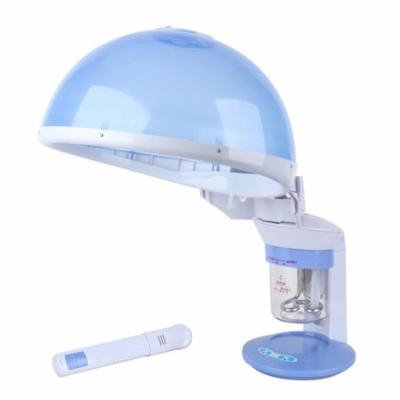 Tbest 2 in1 Spa Personal Table Face & Hair Mini Facial Salon Hot Steamer Machine Salon Steamer Machine,Salon Steamer Machine
