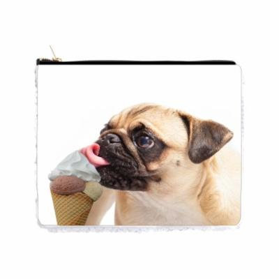 Pug Puppy Dog Licking Ice Cream - 6.5