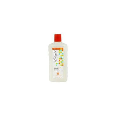 Argan Oil & Shea Moisture Rich Shampoo - 11.5 fl. oz. by Andalou Naturals (pack of 2)