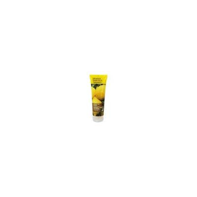 Shampoo Lemon Tea Tree - 8 fl. oz. by Desert Essence (pack of 12)