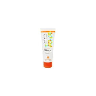 Argan Oil & Shea Moisture Rich Deep Conditioner - 5.8 fl. oz. by Andalou Naturals (pack of 3)