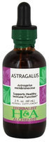Herbalist Alchemist Herbalist & Alchemist - Astragalus - 2 oz.
