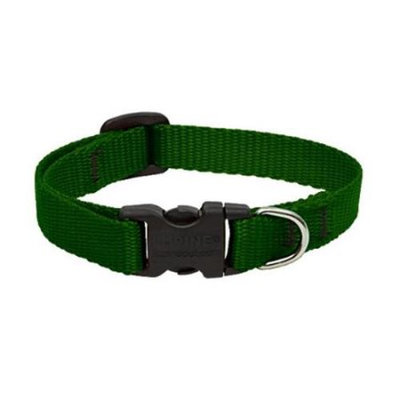 Lupine Custom Embroidered Dog Collar - Green - 1 x 12-20 in