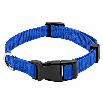 Westminster Pet Products 6 Packs PE5/8x16 BLU Dog Collar