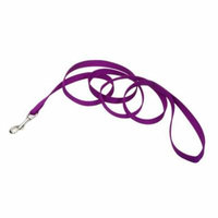 Coastal Pet Nylon Lead - Purple 4' Long x 5/8