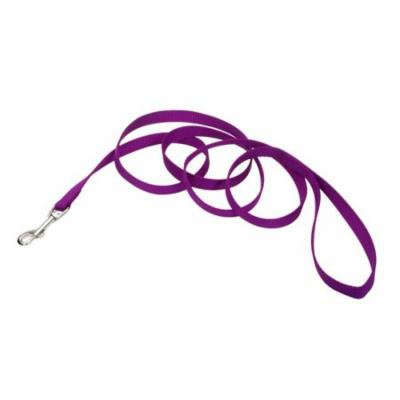 Coastal Pet Nylon Lead - Purple 4' Long x 5/8