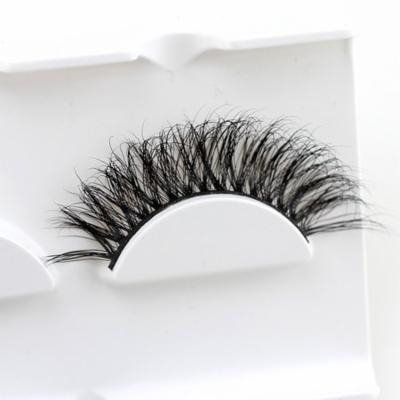 Girl12Queen False Eyelashes Extension Soft Ultra Thick Long Lashes Volume Women Makeup Tool
