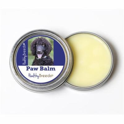 Healthy Breeds 840235192541 2 oz Irish Water Spaniel Dog Paw Balm