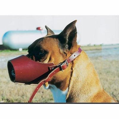 Canine Leather Muzzle Size 5