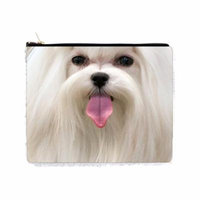 Up-Close Face of a Maltese Puppy Dog - 2 Sided 6.5
