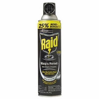 Raid 17.5 OZ Aerosol Wasp & Hornet Spray 2PK