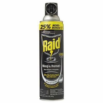 Raid 17.5 OZ Aerosol Wasp & Hornet Spray 2PK