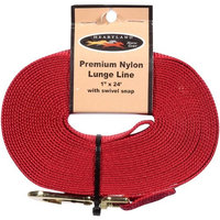Heartland: Lunge Line 1