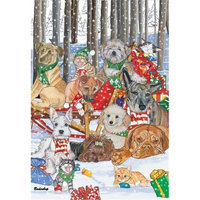 Pipsqueak Productions C517 Mix Dog With Cat Holiday Boxed Cards