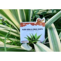 Aloe-Vera & Snail Gluta Soap Cleansing Soap Premium grade 85 g. by ATC