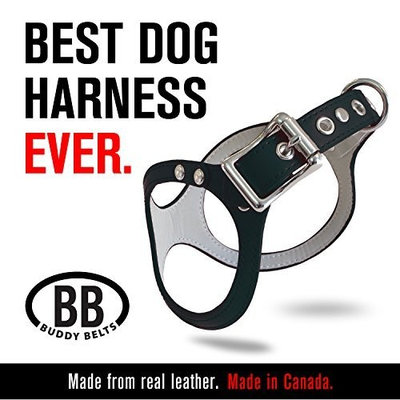 ORIGINAL DURABLE Buddy Belt Classic LEATHER Dog Harness