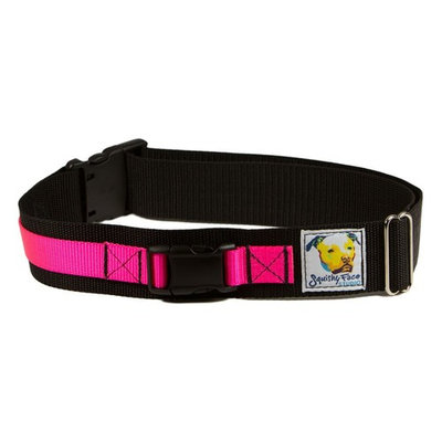 Squishy Face Studio Hands Free Dog Leash Belt