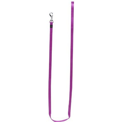 Dogit Nylon Single Ply Training Dog Leash, Small, Purple