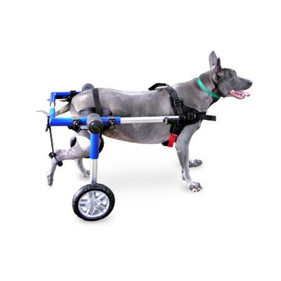 Handicappedpets.com Dog Wheelchair For Medium Dogs 26-69 lbs Blue - By Walkin' Wheels