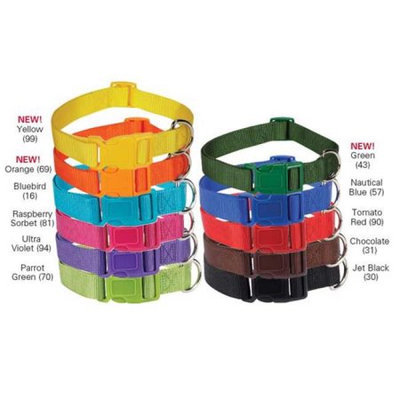 Petedge Zack & Zoey US2391 18 43 Zack and Zoey Nylon Cllr 18-26 In Green