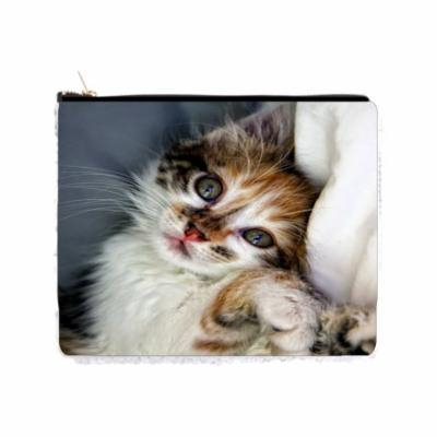 Kitty Cat - Double Sided 6.5