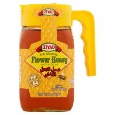 Ziyad Honey Pure,500 Gm (Pack Of 12)