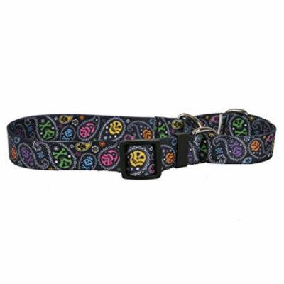 Yellow Dog Design Paisley Skulls Multi Martingale Dog Collar, Medium-1