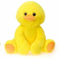 DD 2284650 9.5 in. Sitting Duck with Picture Hang Tag - Case of 24