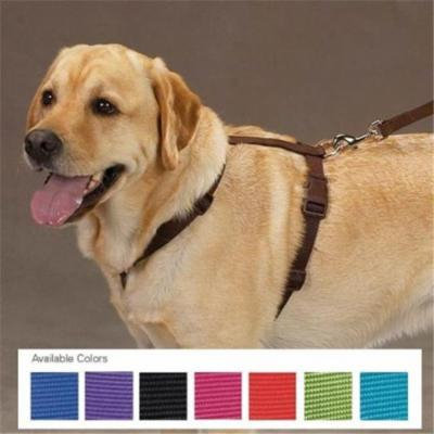 y Nylon Harness 14-20 In Orange