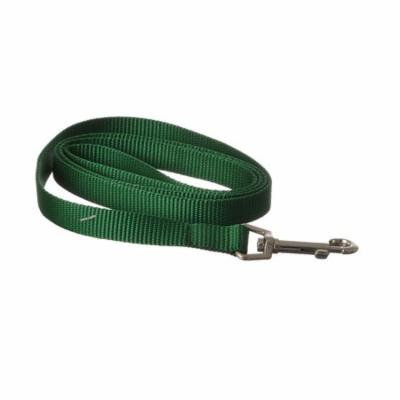 Coastal Pet Nylon Lead - Hunter Green 4' Long x 5/8