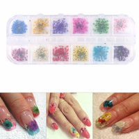 12Colors Nail Decoration Real Dried Flower Manicure Gel Tips Design Accessories & Box,Nail Decoration, Nail Accessory