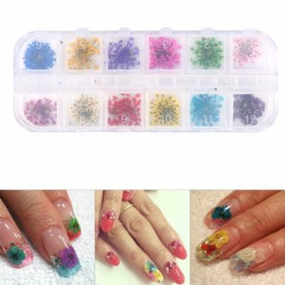 12Colors Nail Decoration Real Dried Flower Manicure Gel Tips Design Accessories & Box,Nail Decoration, Nail Accessory